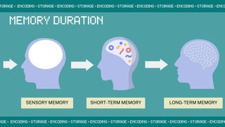 SENSORY MEMORY SHORT-TERM MEMORY LONG-TERM MEMORY
 