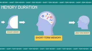 SENSORY MEMORY
SHORT-TERM MEMORY
LONG-TERM MEMORY
 