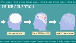 SENSORY MEMORY SHORT-TERM MEMORY LONG-TERM MEMORY
 