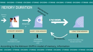Unrehearsed
information is
LOST
SENSORY MEMORY SHORT-TERM MEMORY LONG-TERM MEMORY
Sensory
Input
Unattended
information is LOST
Attentio
n
Some information may
be lost over time
RETRIEVAL
ENCODIN
G
According to the Atkinson-Shiffrin model of memory, information
 