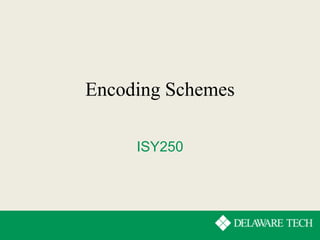 Encoding Schemes | PPT