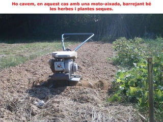 Ho cavem, en aquest cas amb una   moto-aixada, barrejant bé les herbes i plantes seques. 