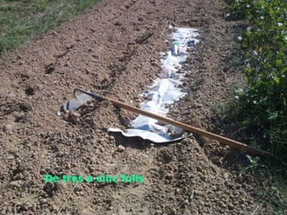 De tres a cinc fulls 