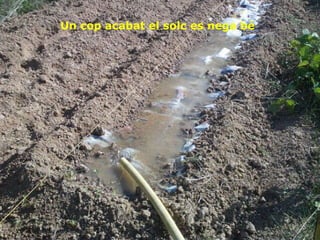 Un cop acabat el solc es nega bé 