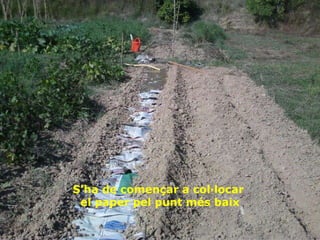 S’ha de començar a col·locar  el paper pel punt més baix 