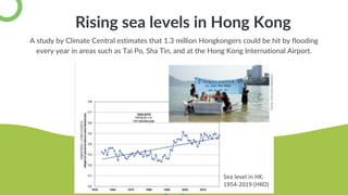 Lorem Ipsum Dolor Sit Amet
Rising sea levels in Hong Kong
A study by Climate Central estimates that 1.3 million Hongkongers could be hit by flooding
every year in areas such as Tai Po, Sha Tin, and at the Hong Kong International Airport.
Sea level in HK:
1954-2019 (HKO)
 