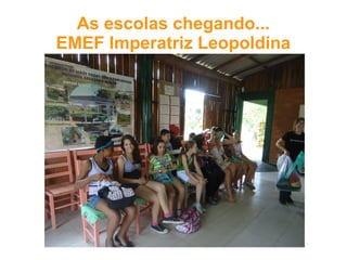 As escolas chegando...
EMEF Imperatriz Leopoldina