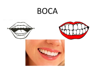 BOCA
 