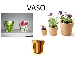 VASO
 
