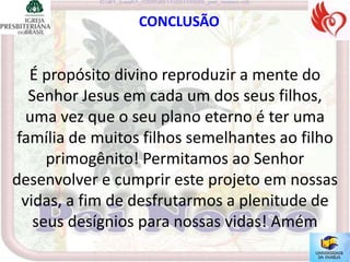CONCLUSÃO


   É propósito divino reproduzir a mente do
   Senhor Jesus em cada um dos seus filhos,
   uma vez que o seu plano eterno é ter uma
 família de muitos filhos semelhantes ao filho
      primogênito! Permitamos ao Senhor
desenvolver e cumprir este projeto em nossas
  vidas, a fim de desfrutarmos a plenitude de
    seus desígnios para nossas vidas! Amém
 