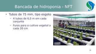 11
Bancada de hidroponia - NFT

Tubos de 75 mm, tipo esgoto
– 4 tubos de 6,0 m em cada
conjunto
– Furos para o cultivo vegetal a
cada 20 cm
 
