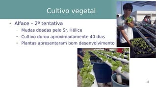 16
Cultivo vegetal

Alface – 2ª tentativa
– Mudas doadas pelo Sr. Hélice
– Cultivo durou aproximadamente 40 dias
– Plantas apresentaram bom desenvolvimento
 
