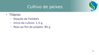 17
Cultivo de peixes

Tilápias
– Doação da FortAlev
– Início do cultivo: 1,5 g
– Peso ao fim do projeto: 80 g
 