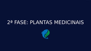 23
2ª FASE: PLANTAS MEDICINAIS
 