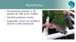 26
Resultados

Foi possível manter ± 35
peixes de 200 g em média

Hortelã produziu muito

Sugestão: focar na hortelã e
extrair o óleo essencial
 