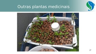 27
Outras plantas medicinais
 