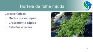 33
Hortelã da folha miúda
Características

Mudas por estaquia

Crescimento rápido

Estolões e raízes
 