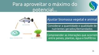 35
Para aproveitar o máximo do
potencial...
Ajustar biomassa vegetal e animal
Considerar a quantidade e qualidade de
nutrientes gerados/demandados
Compreender as interações que ocorrem
entre peixes, plantas, água e biofiltros
 