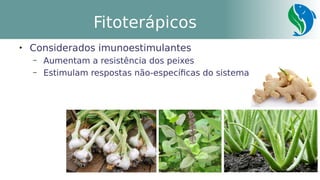 40
Fitoterápicos

Considerados imunoestimulantes
– Aumentam a resistência dos peixes
– Estimulam respostas não-específicas do sistema imunológico
 