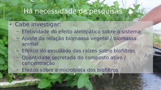 42
Há necessidade de pesquisas

Cabe investigar:
– Efetividade do efeito alelopático sobre o sistema
– Ajuste da relação biomassa vegetal / biomassa
animal
– Efeitos do exsudado das raízes sobre biofiltros
– Quantidade secretada do composto ativo /
concentração
– Efeitos sobre a microbiota dos biofiltros
 
