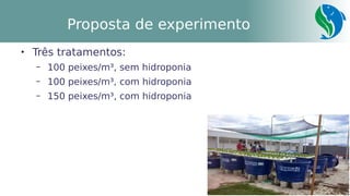 6
Proposta de experimento

Três tratamentos:
– 100 peixes/m³, sem hidroponia
– 100 peixes/m³, com hidroponia
– 150 peixes/m³, com hidroponia
 