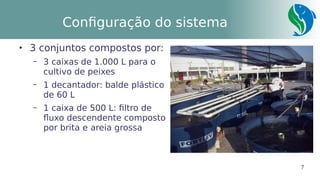 7
Configuração do sistema

3 conjuntos compostos por:
– 3 caixas de 1.000 L para o
cultivo de peixes
– 1 decantador: balde plástico
de 60 L
– 1 caixa de 500 L: filtro de
fluxo descendente composto
por brita e areia grossa
 
