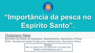 “Importância da pesca no
Espírito Santo”.
Octaciano Neto
Secretário de Estado da Agricultura, Abastecimento, Aquicultura e Pesca
SEAG - Secretaria de Estado da Agricultura, Abastecimento, Aquicultura e Pesca
Contato:
Tel.: (27) 3636-3703 / (27) 3636-3724 / (27) 3636-3702
E-mail: secretario@seag.es.gov.br
 