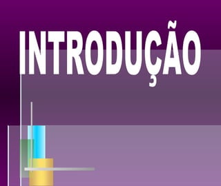 INTRODUÇÃO 