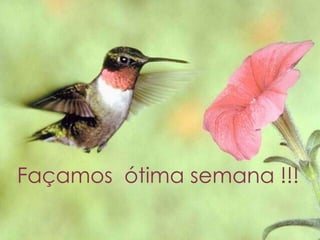 Façamos ótima semana !!!
 