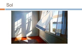 Sol
 