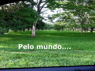 Pelo mundo….
 