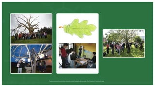 Museos socialmente sostenibles (inclusión social, ciudadanía, democracia) | Red Museística Provincial de Lugo
 