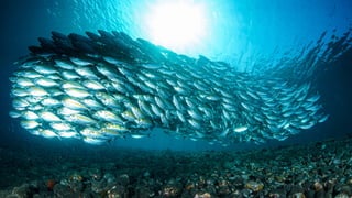 Museos socialmente sostenibles (inclusión social, ciudadanía, democracia) | Red Museística Provincial de Lugo
 