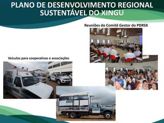 PLANO DE DESENVOLVIMENTO REGIONAL
SUSTENTÁVEL DO XINGU
Reuniões do Comitê Gestor do PDRSX
Veículos para cooperativas e associações
 