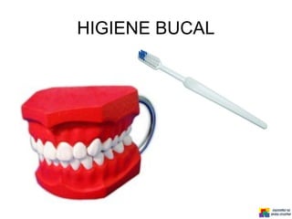 HIGIENE BUCAL
 