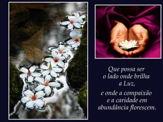 Que possa ser
o lado onde brilha
a Luz,
e onde a compaixão
e a caridade em
abundância florescem.
 