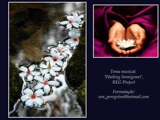 Tema musical:
‘Waiting Immigrant’,
REG Project
Formatação:
um_peregrino@hotmail.com
 