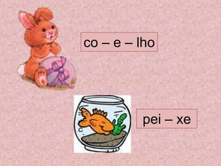 co – e – lho
pei – xe
 