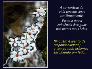 A correnteza da
vida terrena corre
continuamente.
Possa a nossa
existência desaguar
nos mares mais belos.
Ninguém é isento de
responsabilidade;
o tempo todo estamos
escolhendo um lado...
 
