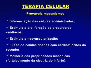 Prováveis mecanismos   Diferenciação das células administradas; Estimulo a proliferação de precursores cardíacos;  Estimulo a neovascularização; Fusão de células doadas com cardiomiócitos do receptor; Melhoria das propriedades mecánicas (fortalecimento da cicatriz do infarto). TERAPIA CELULAR 