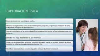 EXPLORACION FISICA
Descartar trastornos neurológicos ocultos.
Observar la región lumbo-sacra en busca de lipomas, hoyuelos, angiomas o mechones de pelo
que puedan ser signos de disrafia oculta.
Examen neurológico de las extremidades inferiores y verificar que el reflejo bulbocavernoso está
presente.
Detectar una vejiga distendida o un gran bolo fecal.
Inspección de los genitales externos : estenosis del meato uretral en varones, sinequia de labios
menores en niñas, uréteres ectópicos en introito. Etc.
Identificar signos de abuso sexual que pueden producir disfunción miccional.
 