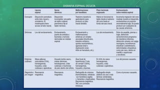 DISRAFIA ESPINAL OCULTA
 
