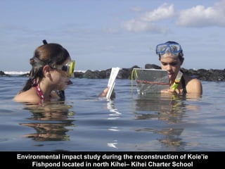 .
Environmental impact study during the reconstruction of Koie’ie
Fishpond located in north Kihei– Kihei Charter School
 