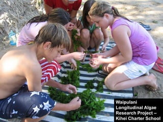 Waipulani
Longitudinal Algae
Research Project –
Kihei Charter School
 
