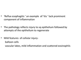 • ‘Reflux esophagitis ‘ an example of ‘itis ‘ lack prominent
component of inflammation
• The pathology reflects injury to sq epithelium followed by
attempts of the epithelium to regenerate
• Mild features of cellular injuryballoon cells
vascular lakes, mild inflammation and scattered eosinophils

 