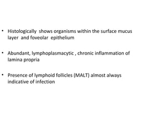 • Histologically shows organisms within the surface mucus
layer and foveolar epithelium
• Abundant, lymphoplasmacytic , chronic inflammation of
lamina propria
• Presence of lymphoid follicles (MALT) almost always
indicative of infection

 
