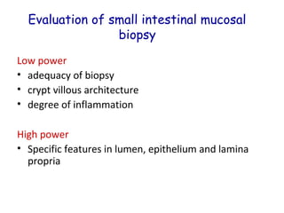 Evaluation of small intestinal mucosal
biopsy
Low power
• adequacy of biopsy
• crypt villous architecture
• degree of inflammation
High power
• Specific features in lumen, epithelium and lamina
propria

 