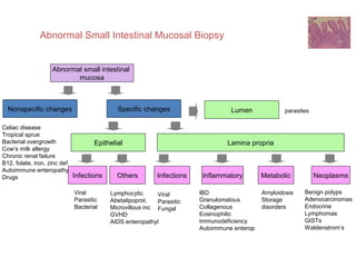 Abnormal Small Intestinal Mucosal Biopsy

Abnormal small intestinal
mucosa

Nonspecific changes

Specific changes

Celiac disease
Tropical sprue
Bacterial overgrowth
Epithelial
Cow’s milk allergy
Chronic renal failure
B12, folate, iron, zinc def
Autoimmune enteropathy
Infections
Others
Drugs
Viral
Parasitic
Bacterial

Lumen

parasites

Lamina propria

Infections

Lymphocytic
Viral
Abetalipoprot.
Parasitic
Microvillous inc Fungal
GVHD
AIDS enteropathyl

Inflammatory
lBD
Granulomatous
Collagenous
Eosinophilic
Immunodeficiency
Autoimmune enterop

Metabolic
Amyloidosis
Storage
disorders

Neoplasms
Benign polyps
Adenocarcinomas
Endocrine
Lymphomas
GISTs
Waldenstrom’s

 