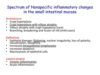 Spectrum of Nonspecific inflammatory changes
in the small intestinal mucosa
Architecture
• Crypt hyperplasia
• Crypt hyperplasia with villous atrophy
• Villous atrophy with crypt hypoplasia (rare)
• Branching, broadening and fusion of villi (mild cases)
Epithelium
• Epithelial damage: flattening, nuclear irregularity, loss of polarity,
vacuolization, basophilia
• Increased intraepithelial lymphocytes
• Increased apoptosis
• Macrocytosis of epithelial cells
Lamina propria
• Chronic inflammation
• Acute inflammation

 