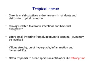 Tropical sprue
• Chronic malabsorptive syndrome seen in residents and
visitors to tropical countries
• Etiology related to chronic infections and bacterial
overgrowth
• Entire small intestine from duodenum to terminal ileum may
be involved
• Villous atrophy, crypt hyperplasia, inflammation and
increased IELs
• Often responds to broad spectrum antibiotics like tetracycline

 